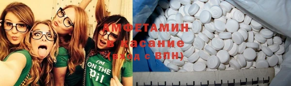 гидра Горняк