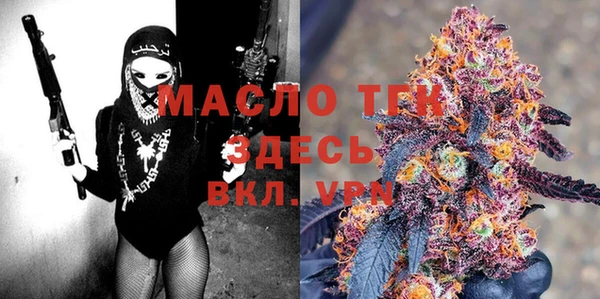 гидра Горняк