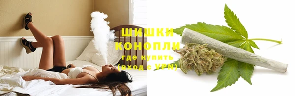 эйфоретик Горнозаводск