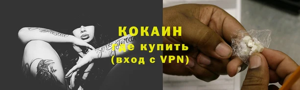 гидра Горняк