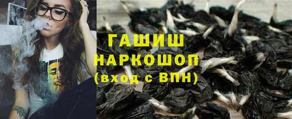 гидра Горняк