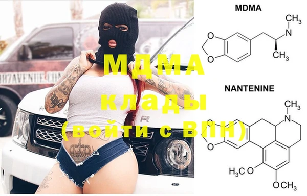 гидра Горняк
