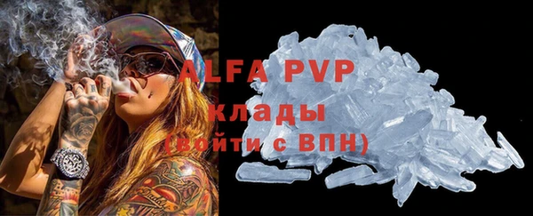 гидра Горняк