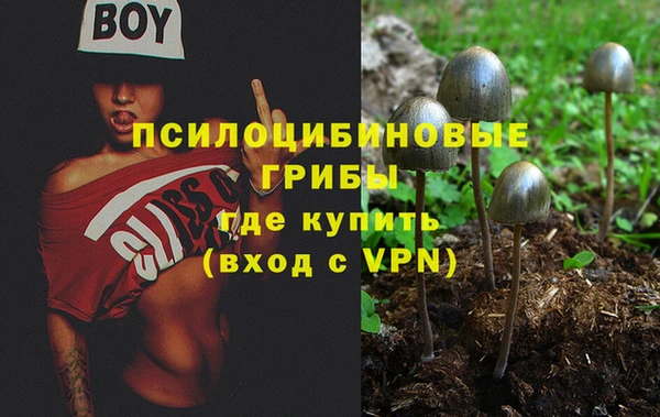 гидра Горняк