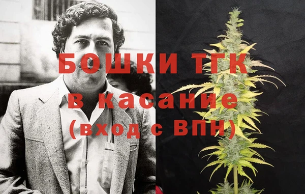 эйфоретик Горнозаводск