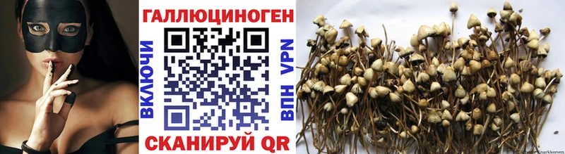 купить Смоленск Галлюциногенные грибы Cubensis